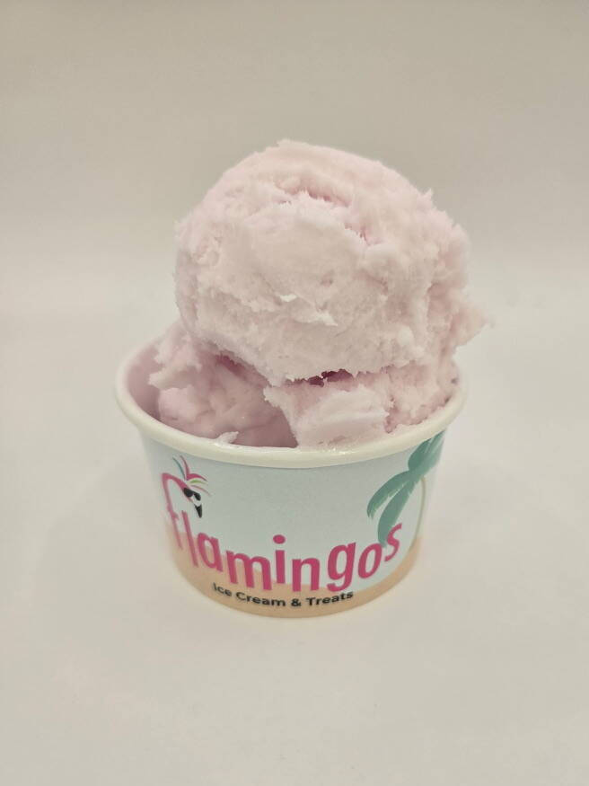 Flavors | Flamingos Ice Cream & Treats